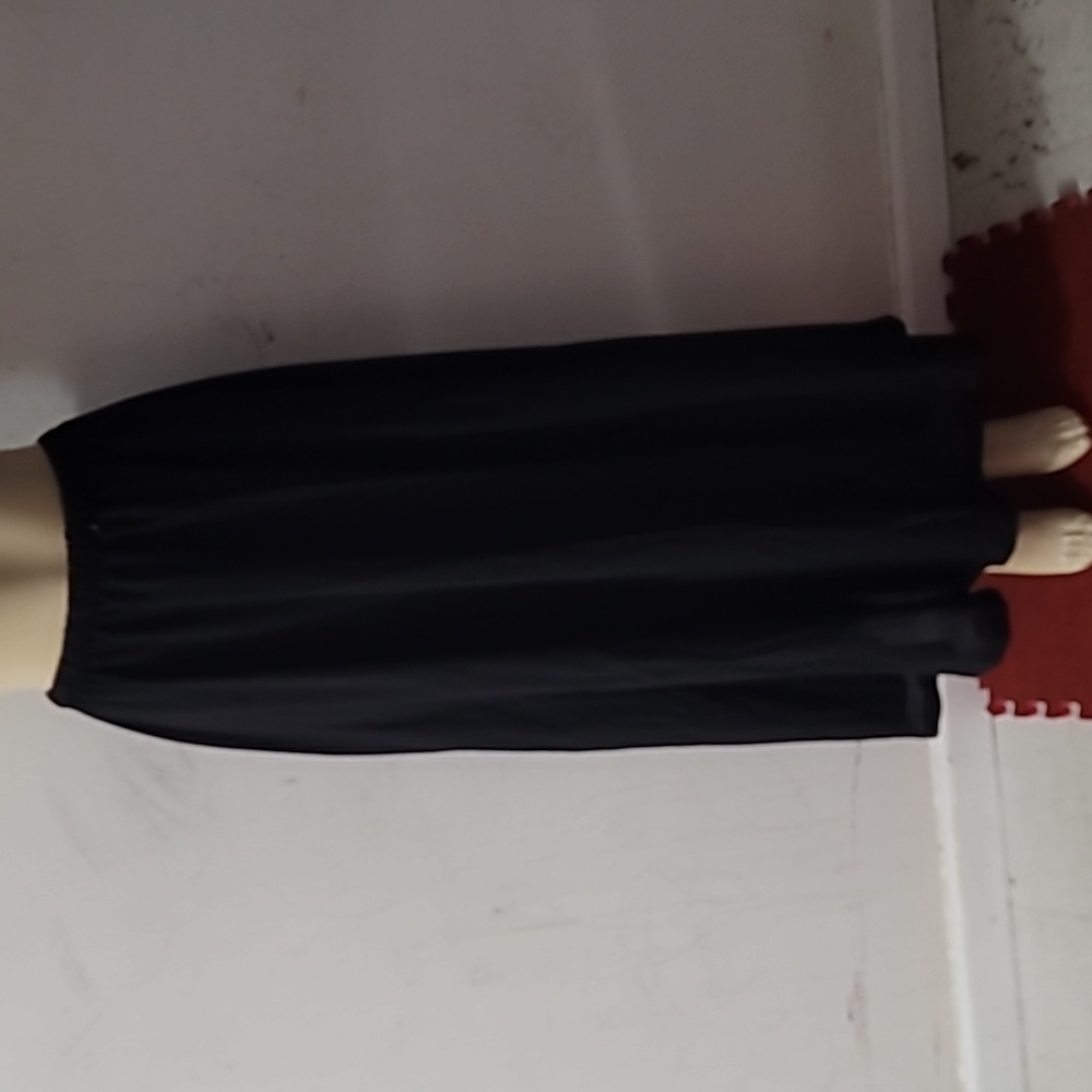 Size large skirt from Xai